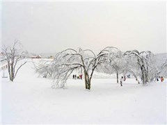 滑雪場