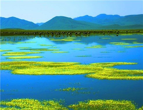 花湖